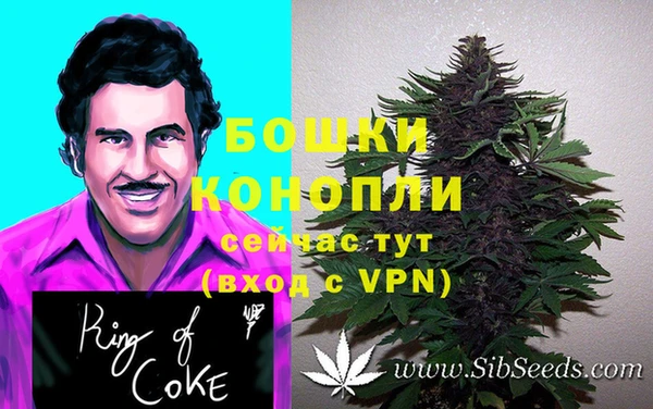 ГАЛЛЮЦИНОГЕННЫЕ ГРИБЫ Лиски