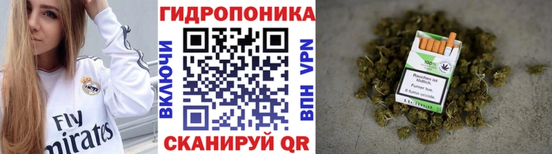 МАРИХУАНА White Widow  цены наркотик  Городище 